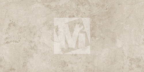 Керамическая плитка и керамогранит, коллекция: NR12060405-M