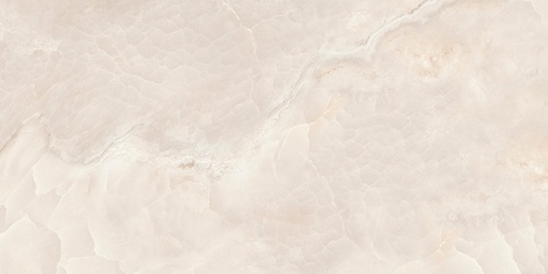 NR6030451-M 