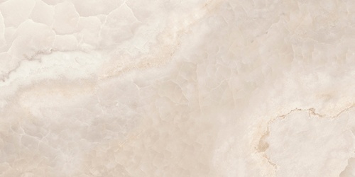 NR6030451-M 