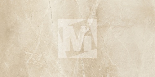 Керамическая плитка и керамогранит, коллекция: NR12060407-M