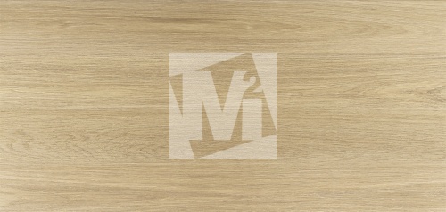 Керамическая плитка и керамогранит, коллекция: NR12060419-M