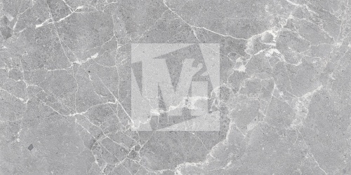 Керамическая плитка и керамогранит, коллекция: NR12060401-M