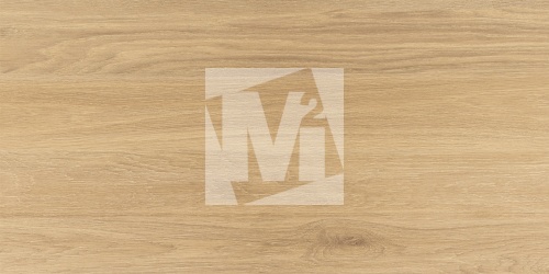 Керамическая плитка и керамогранит, коллекция: NR12060419-M