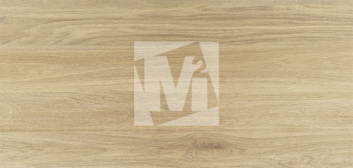 Керамическая плитка и керамогранит, коллекция: NR12060419-M